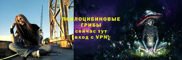 соль ск Пересвет