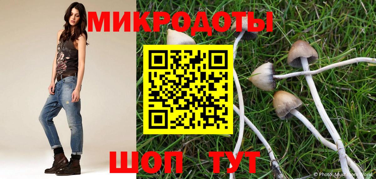 Россошь  Псилоцибиновые грибы прущие грибы  закладки  Вход с VPN  Галлюциногенные грибы Magic Shrooms 